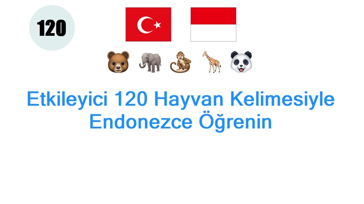 Etkileyici 120 Hayvan Kelimesiyle Endonezce Öğrenin